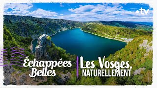 Les Vosges naturellement  Échappées belles [upl. by Brindell507]