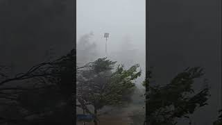 Super Typhoon Yagi Makes Landfall  Siêu bão Yagi đổ bộ baoyagi sieubaoyagi trending xuhuong [upl. by Ahmad]