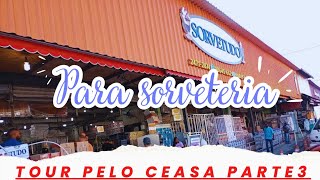 SORVETUDO  produtos para sorveteria [upl. by Dareece]