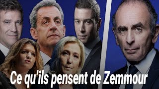 Ce que les adversaires d’Eric Zemmour pensent de lui [upl. by Dupin]