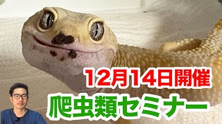 爬虫類セミナーのお知らせ！「体と心の健康を守ろう」12月14日土1930開催 [upl. by Kelwunn]