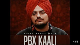 PBX Kaali  Sidhu MooseWala  New Punjabi Songs 2024 [upl. by Jar]