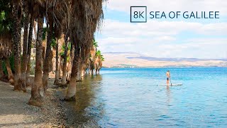 SEA of GALILEE Lake Kinneret Wild Beach [upl. by Ivett838]