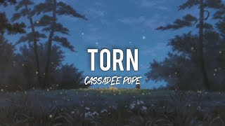 Torn  Cassadee Pope Lyric Video [upl. by Ames]