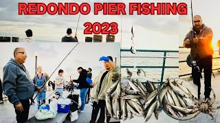 REDONDO BEACH PIER FISHING 2023 [upl. by Eelrak]