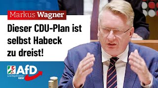 Dieser CDUPlan ist selbst Habeck zu dreist – Markus Wagner AfD [upl. by Einhorn]