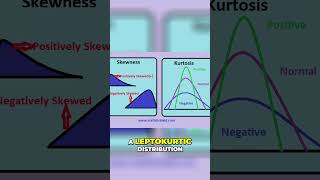 Kurtosis and Skewness  13 [upl. by Winshell]