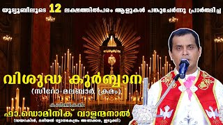 വിശുദ്ധ കുർബ്ബാന സീറോമലബാർ│Fr Dominic Valanmanal│HOLY MASS SyroMalabar│Krupabhishekam [upl. by Wattenberg217]