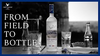 How Vodka Is Made Grey Goose Vodka from Field to Bottle [upl. by Weinrich]