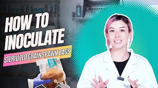 How To Inoculate Grain Spawn Bag using Liquid Culture Syringe for Growing Mushrooms at Home [upl. by Sidra970]