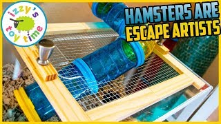 Hamsters are Escape Artists Izzys Toy Time Builds a Tower Topper [upl. by Apeed]