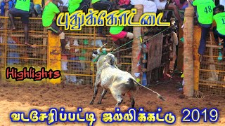 புதுக்கோட்டை வடசேரிப்பட்டி ஜல்லிக்கட்டு 2019 Pudhukottai Vadaseripatty Jallikattu 2019 Highlights [upl. by Flemming]