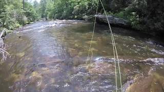 27 Chattooga GA  Fishing the top 100 Trout Streams in America [upl. by Ahsiekrats866]