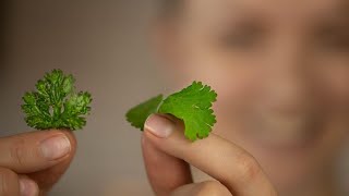 4 minute garnish idea flat fried LEAFY HERBS [upl. by Tserof]