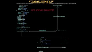 Secondary Metabolite Terpenes Biosynthesis Pathways [upl. by Willett]