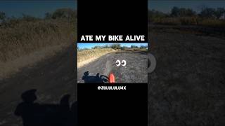 I Crashed My Pit Bike In A Pothole dirtbike motorcycle shorts motocross [upl. by Akeirahs]