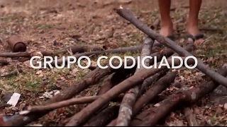 Paso a paso  Grupo codiciado [upl. by Biddick]