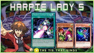 Triangle Harpie Lady OTK Deck  Immune by Trap  YuGiOh Duel Links [upl. by Salokcin]