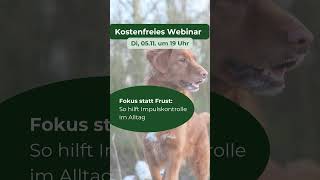 Webinar Fokus statt Frust  So hilft Impulskontrolle im Alltag [upl. by Sung]