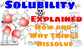 Solubility Explained [upl. by Ilahsiav413]