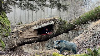 Building a secret shelter in a fallen tree for survival [upl. by Etiam893]