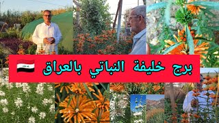 برج خليفة النباتي بالعراق 🇮🇶 نبات اذن الأسد الذنبية Leonotis leonurus نبات رحيقي جاذب للنحل 🐝 ازرعوه [upl. by Bertasi]