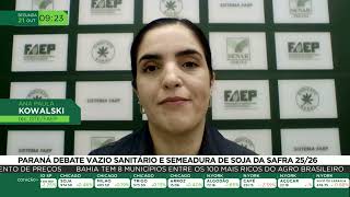 Paraná debate vazio sanitário e semeadura de soja da safra 2526 [upl. by Goldshell405]