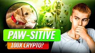 Can This PAWSITIVE Crypto Be The Next Mooner  Innocent Rocky REVIEW [upl. by Bronk]