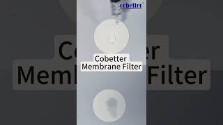 PTFE Membrane Filters SO LOW extractables cobetter PTFE protein membrane filtration [upl. by Erine]