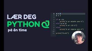 Lær deg Python på én time  Grunnleggende Python [upl. by Orips]