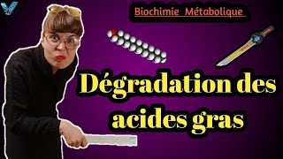 Biochimie métabolique en arabe Dégradation des Acides Gras Partie des Lipides SVI S4 [upl. by Jerrome447]