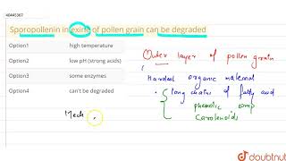 Sporopollenin in exine of pollen grain can be degraded [upl. by Roddie]