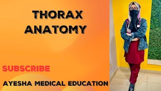 Thorax anatomy introduction to thoracic region Surface landmarks bony and soft tissue landmarks [upl. by Siddra651]