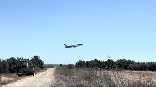 BEAUTIFUL TUI BOEING 737 CLEAR SKY TAKEOFF ✈️ PAPHOS CYPRUS [upl. by Yrian611]