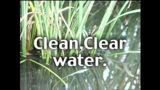 Glendon BioFilter Video  Simply The Best Septic System Available [upl. by Lauryn312]