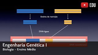 Vídeoaula  S02E05  Engenharia Genética I [upl. by Shandie]