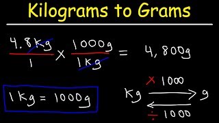 How To Convert Kilograms to Grams and Grams to Kilograms [upl. by Gathard]