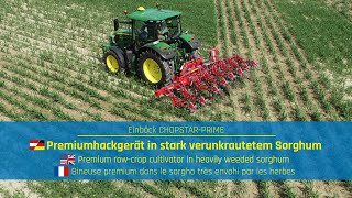 Premiumhackgerät in Sorghum  Premium cultivator in sorghum  CHOPSTARPRIME  EINBÖCK Shortclip 38 [upl. by Poppy324]