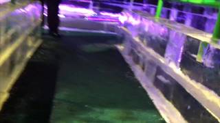 Gaylord Palms ICE Slide POV Orlando FL Christmas Ice Sculpture Display [upl. by Casandra]