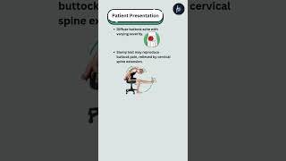 Referred Pain From The Lumbar Spine youtube youtubeshorts referredpain [upl. by Tri]