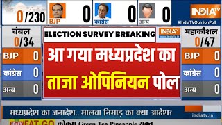 MP Election Opinion Poll 2023  मध्यप्रदेश के 230 सीटों पर सबसे ताजा ओपिनियन पोल  MP News [upl. by Bennion755]