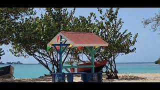 Tour in Carriacou witnessing Preparations for hurricane Beryl [upl. by Hseyaj]