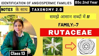 Rutaceae Family 🌼 Floral diagram and formulas  Taxonomy  Economic importance [upl. by Treat]