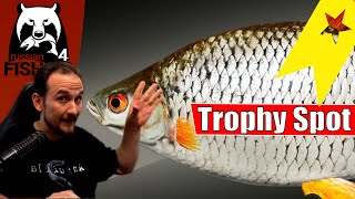 Russian Fishing 4  Ladogasee  Trophy Spot Rotauge [upl. by Retsel]