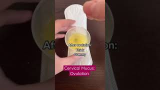 Discharge Am I normal Cervical mucus changes during ovulation shorts [upl. by Seftton]