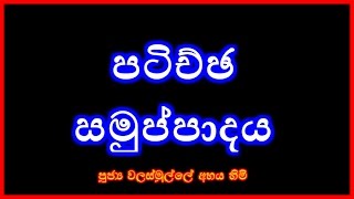 22 පටිච්ඡ සමුප්පාදය  නිරපේක්ෂත්වයේ මග  Season 01 [upl. by Mallen]