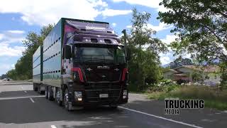 Isuzu CYJ530 8x4  Truck Test  Stockmans Mate [upl. by Gilson]