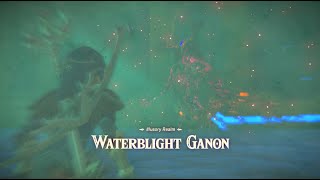 Illusory Realm Waterblight Ganon Boss Fight  EX Champion Miphas Song BotW [upl. by Atnomed]