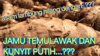 Cara Membuat Jamu Temulawak Kunyit Putih [upl. by Nrehtak735]