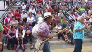 Fiestas Patronales SAn Antonio de Prado 2017 [upl. by Yznel52]